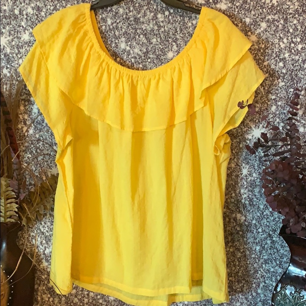 Final price drop🔹Ladies plus size 2X blouse